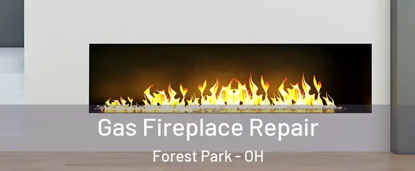  Gas Fireplace Repair Forest Park - OH