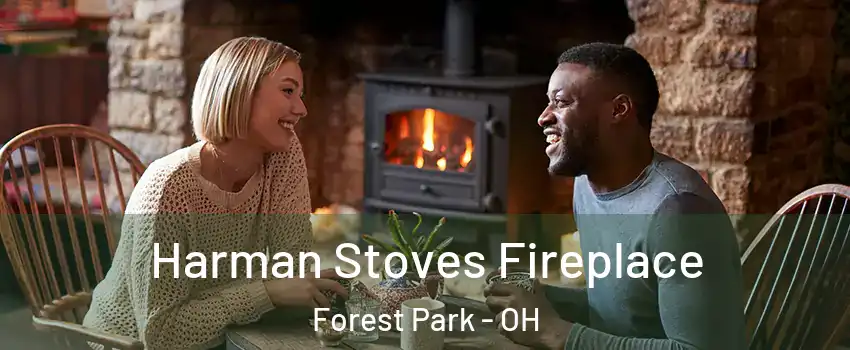  Harman Stoves Fireplace Forest Park - OH