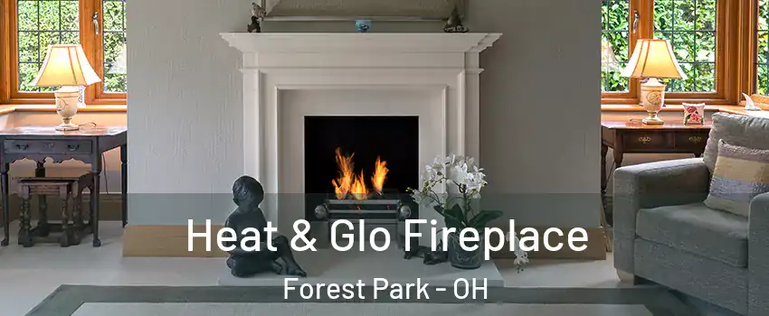  Heat & Glo Fireplace Forest Park - OH