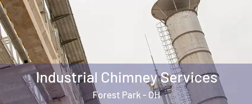  Industrial Chimney Services Forest Park - OH