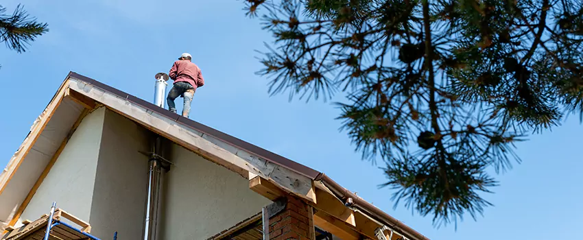 Birds Removal Contractors from Chimney in Forest Park, OH