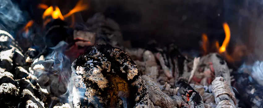 Creosote Removal Experts in Forest Park, OH