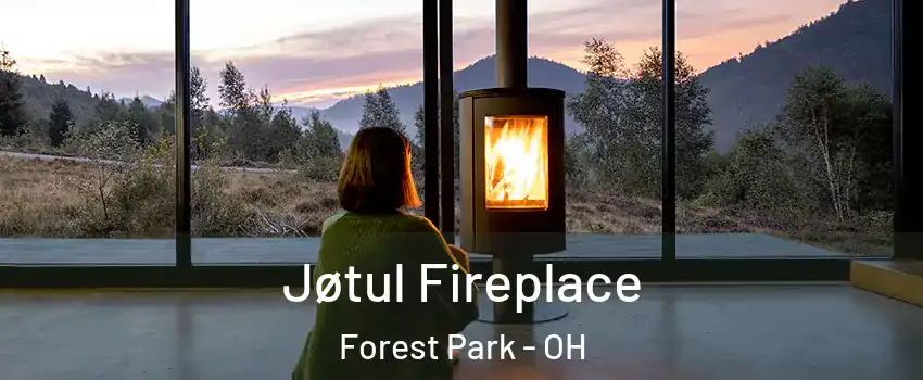  Jøtul Fireplace Forest Park - OH