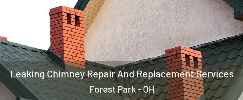  Leaking Chimney Repair And Replacement Services Forest Park - OH
