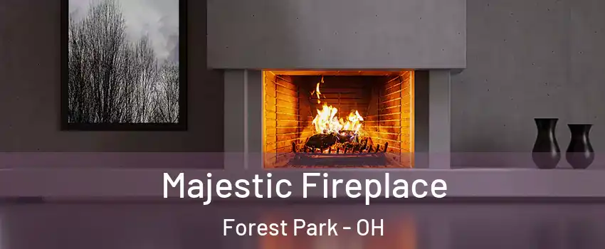  Majestic Fireplace Forest Park - OH