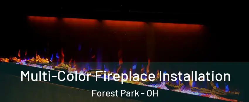  Multi-Color Fireplace Installation Forest Park - OH