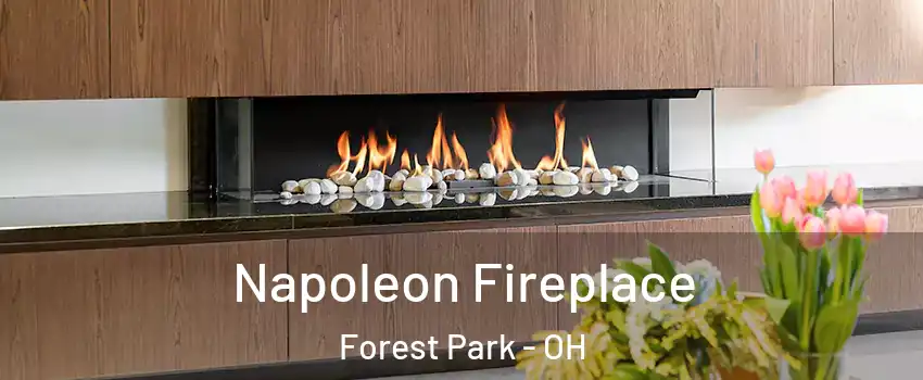  Napoleon Fireplace Forest Park - OH