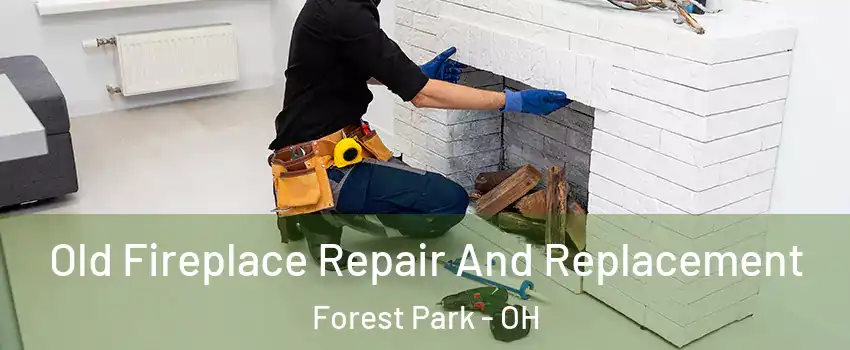  Old Fireplace Repair And Replacement Forest Park - OH