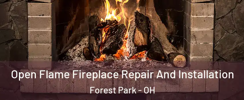  Open Flame Fireplace Repair And Installation Forest Park - OH