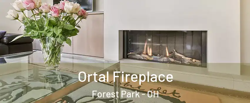  Ortal Fireplace Forest Park - OH