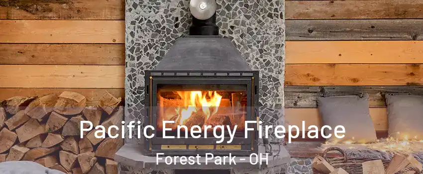  Pacific Energy Fireplace Forest Park - OH