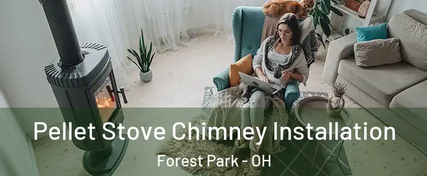  Pellet Stove Chimney Installation Forest Park - OH