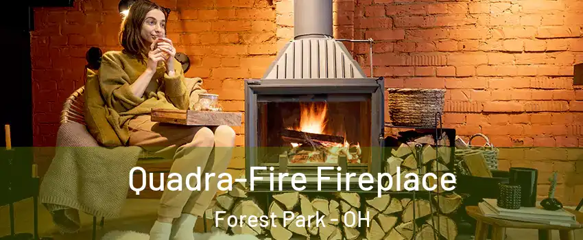  Quadra-Fire Fireplace Forest Park - OH