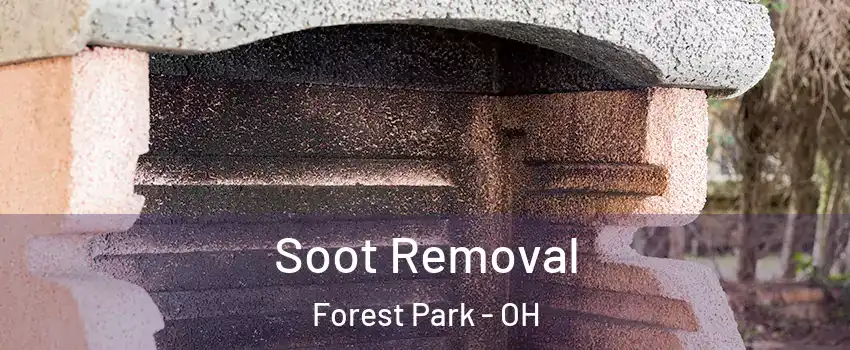  Soot Removal Forest Park - OH