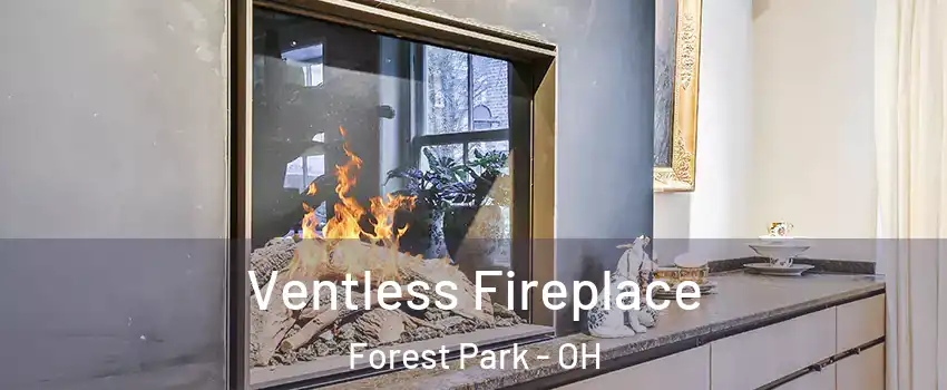  Ventless Fireplace Forest Park - OH