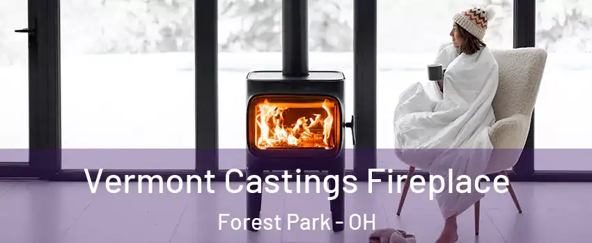  Vermont Castings Fireplace Forest Park - OH