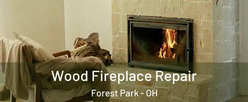  Wood Fireplace Repair Forest Park - OH