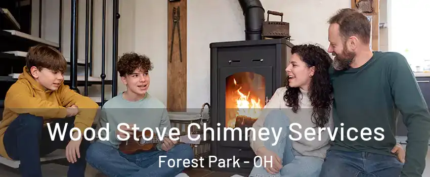  Wood Stove Chimney Services Forest Park - OH