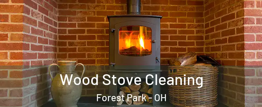  Wood Stove Cleaning Forest Park - OH