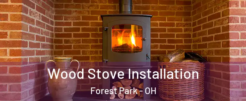  Wood Stove Installation Forest Park - OH