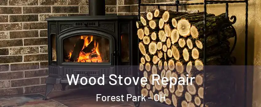  Wood Stove Repair Forest Park - OH
